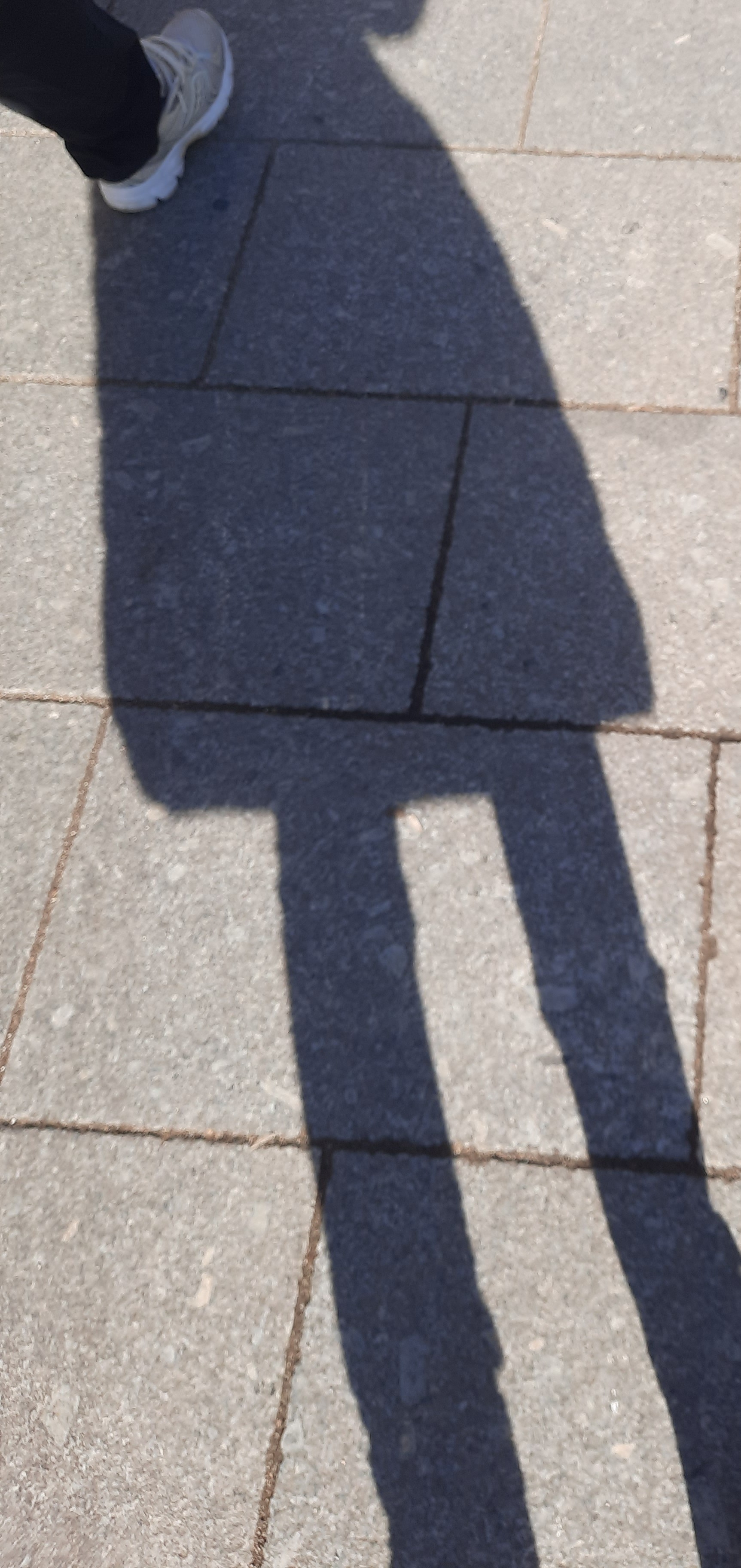 Pelas ruas de Madrid