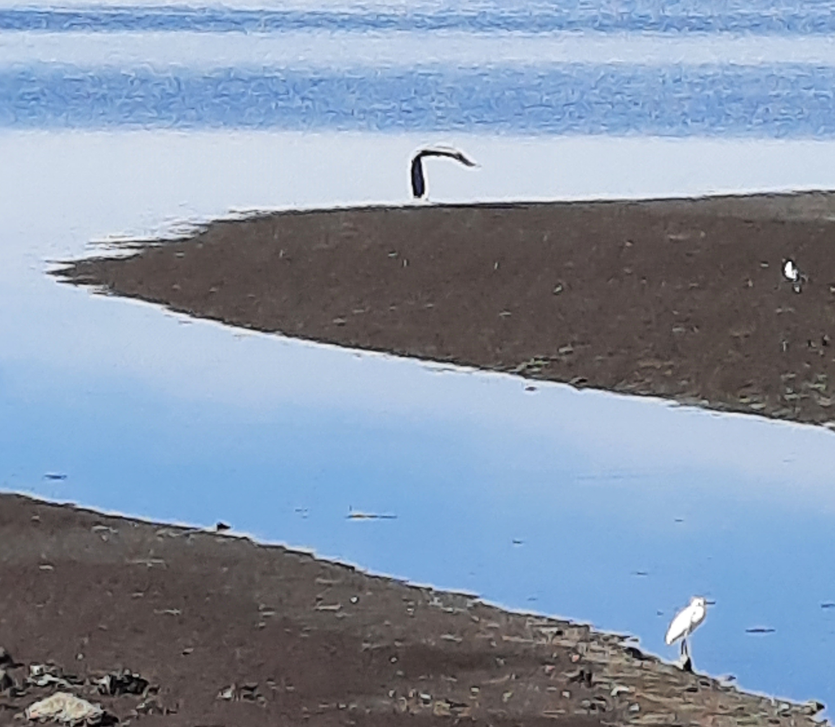 Nas águas do rio Tejo